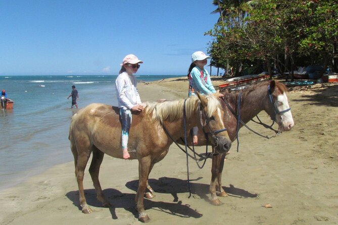 Beach Horseback Ride Tour in Puerto Plata - Scenic & Fun for All - A local beach bar, drinks, and souvenir time