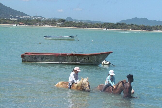 Beach Horseback Ride Tour in Puerto Plata - Scenic & Fun for All - What is included for $70, and what is not?