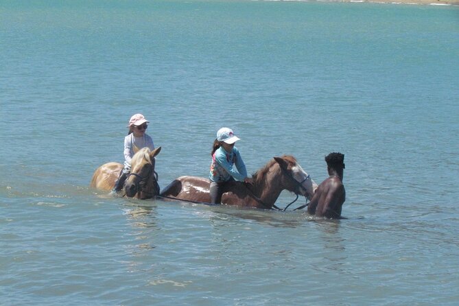 Beach Horseback Ride Tour in Puerto Plata - Scenic & Fun for All - Who will enjoy this Puerto Plata horse ride?