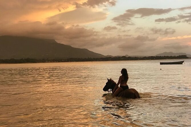 Beach Horseback Ride Tour in Puerto Plata - Scenic & Fun for All - The countryside trail gives the ride some variety