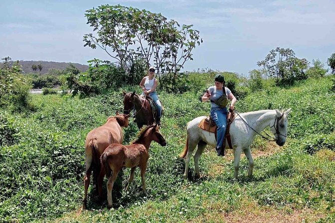Beach Horseback Riding Adventure in Copalita, Huatulco - How the ride feels for different abilities