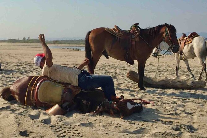 Beach Horseback Riding Adventure in Copalita, Huatulco - Meeting a suitable horse before the ride