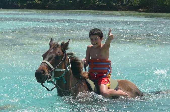 Beach Horseback Riding and Dunn’s River Falls - The service details that shape the day
