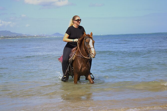 Beach Horseback Riding and Swim Horse in Puerto Plata - Key points before you book
