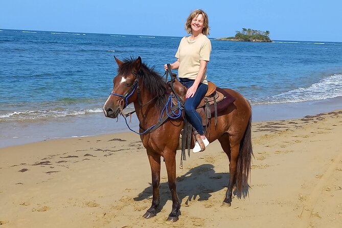 Beach Horseback Riding and Swim Horse in Puerto Plata - Starting at Rancho Montecarlo LyS in Puerto Plata