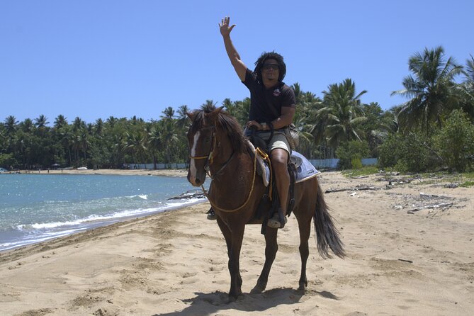 Beach Horseback Riding and Swim Horse in Puerto Plata - Bergantin Beach and the two-hour coastal stop