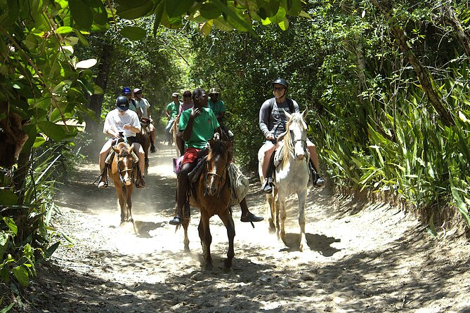 Beach Horseback Riding and Swim Horse in Puerto Plata - How the $79 price compares