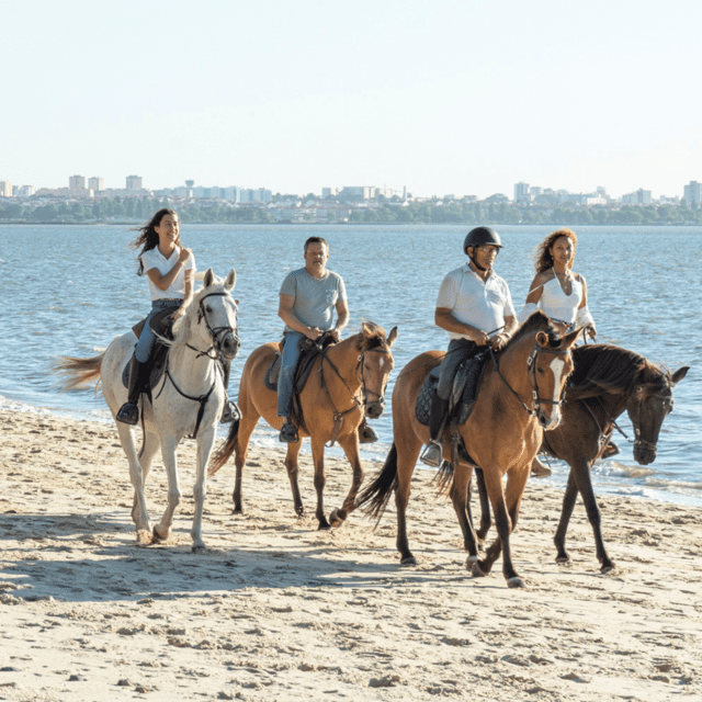 Beach Horseback Riding in GROUP + Photo Report - PDT - Key points to know before you book