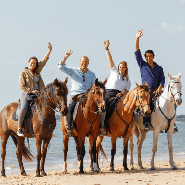 Beach Horseback Riding in GROUP + Photo Report - PDT - Meeting your horse and learning the basics