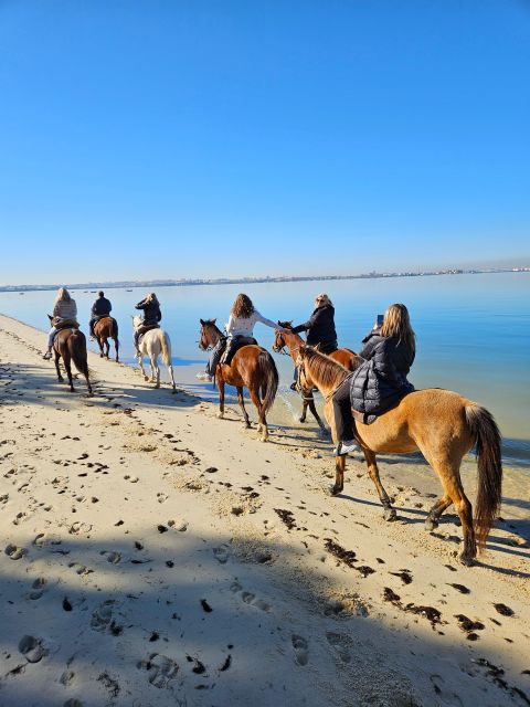 Beach Horseback Riding in GROUP + Photo Report - PDT - Why the small group matters
