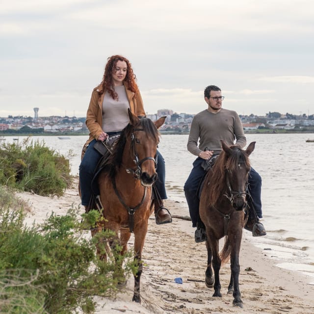 Beach Horseback Riding in GROUP + Photo Report - PDT - What the ratings tell you about the experience