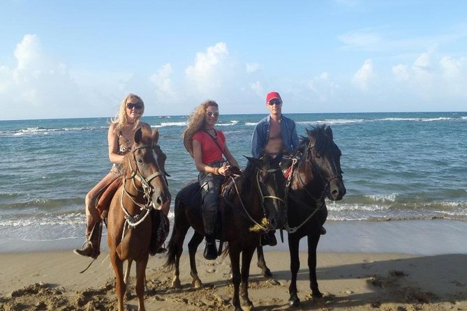 Beach Horseback Riding in Puerto Plata - What first-time riders can expect