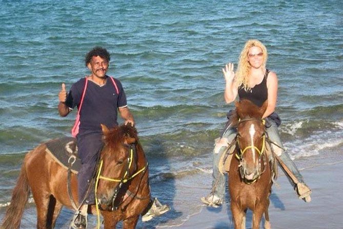 Beach Horseback Riding in Puerto Plata - The horses and the quality-control question