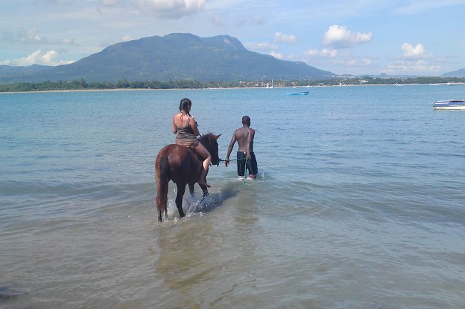 Beach Horseback Riding in Puerto Plata - Pickup, meeting points, and the cruise-ship limitation