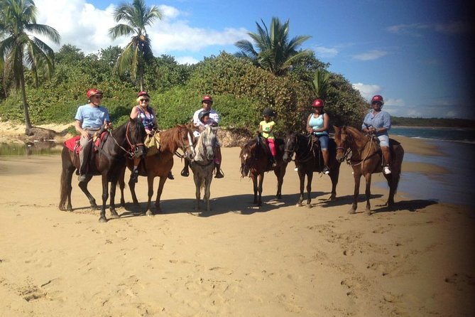 Beach Horseback Riding in Puerto Plata - Who should book this Puerto Plata ride?