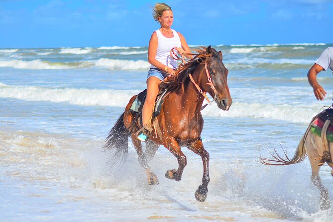 Beach Sunset on Horse Riding in Punta Cana(Private Option) - Key points to know before you book
