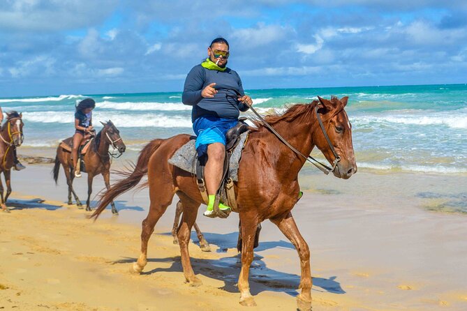Beach Sunset on Horse Riding in Punta Cana(Private Option) - Horse care and safety questions worth asking