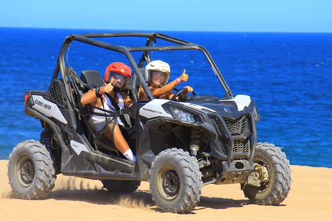 Beach UTV and Horseback Riding in Cabo - Starting with horses, coastal views, and a hands-on welcome
