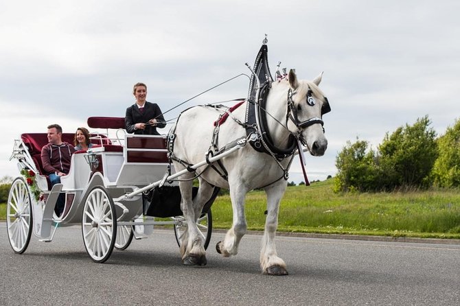 Beacon Hill Park Horse-Drawn Carriage Experience in Victoria - Along the Salish Sea to Mile Zero