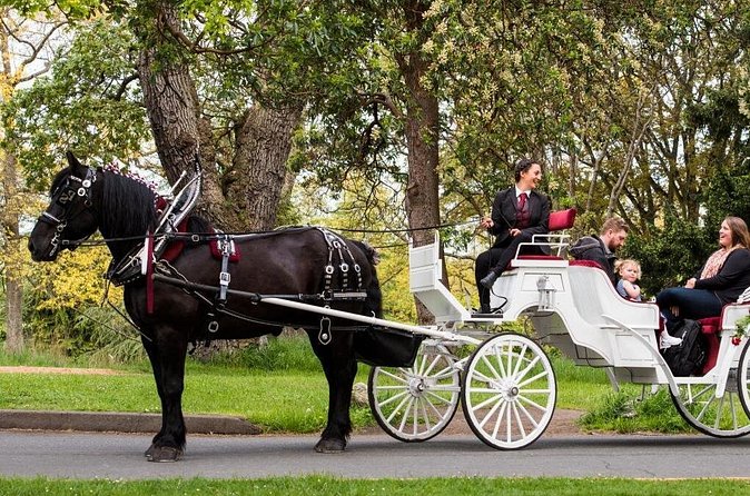 Beacon Hill Park Horse-Drawn Carriage Experience in Victoria - James Bay, Victorian homes, and Emily Carr