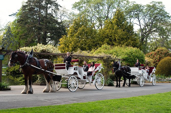 Beacon Hill Park Horse-Drawn Carriage Experience in Victoria - How the guiding shapes the hour