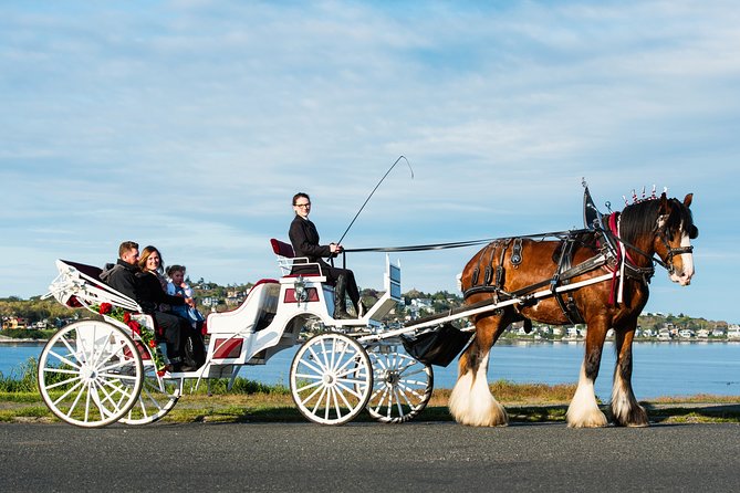 Beacon Hill Park Horse-Drawn Carriage Experience in Victoria - Beacon Hill Park at a horse’s pace