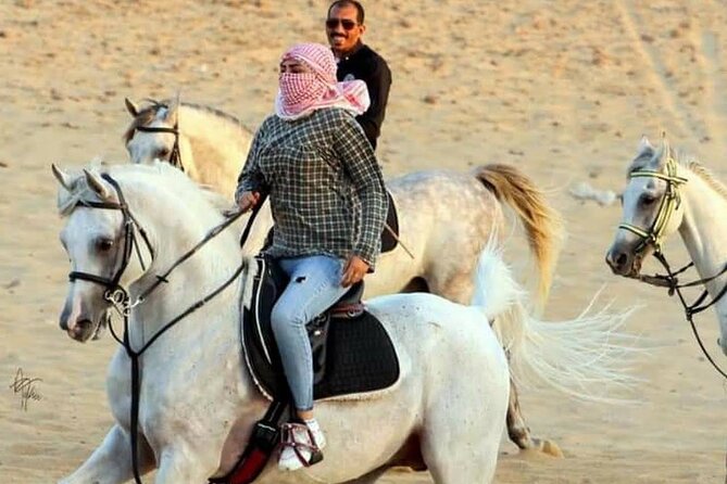 Bedouin Dinner, Egyptian Show and Horse Ride tour 1 Hour - Sharm El Sheikh - Key points to know before booking