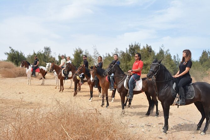 Bedouin Dinner, Egyptian Show and Horse Ride tour 1 Hour - Sharm El Sheikh - Belly dancing, Egyptian music, and the fire show