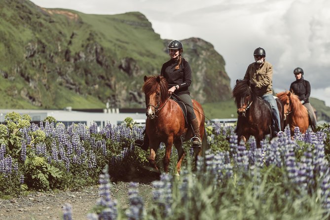 Black Sand Beach Horse Riding Tour from Vik - Key points to know before you book