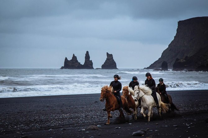Black Sand Beach Horse Riding Tour from Vik - Riding an Icelandic horse beside Víkurfjara