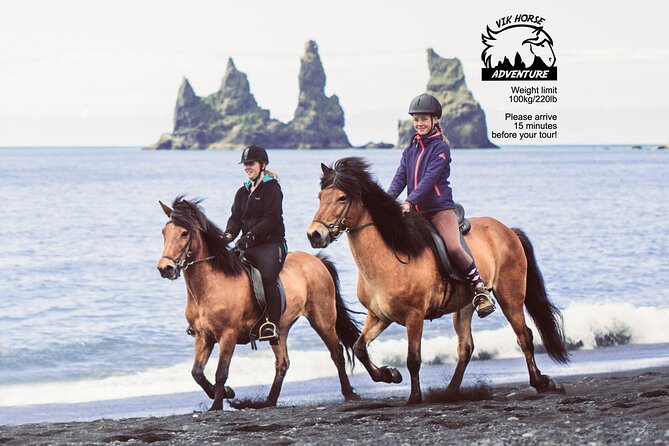 Black Sand Beach Horse Riding Tour from Vik - The walk to the black sand beach