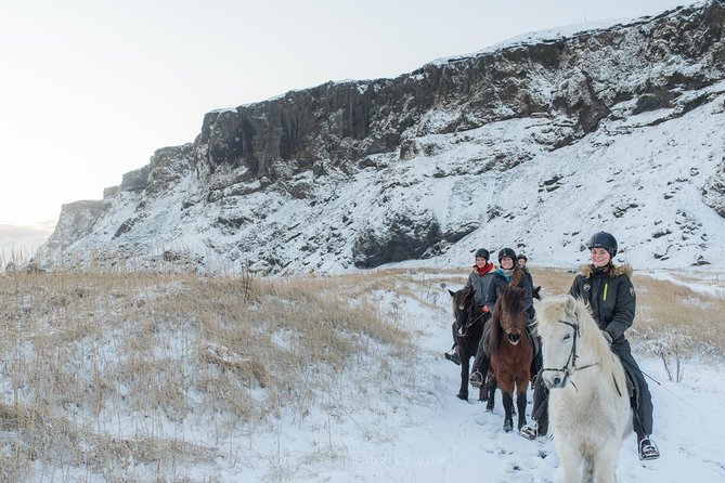 Black Sand Beach Horse Riding Tour from Vik - How the guides shape the experience