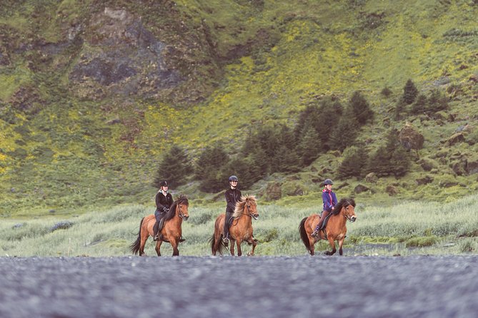 Black Sand Beach Horse Riding Tour from Vik - Weather, cancellations, and practical limits