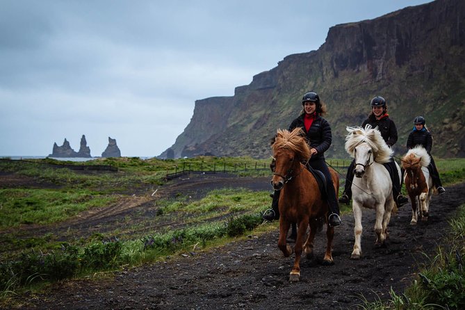Black Sand Beach Horse Riding Tour from Vik - What happens at the Vik Horse Adventure stable