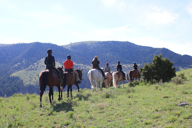 Blue Flower Trail Ride - Key points to know before you book