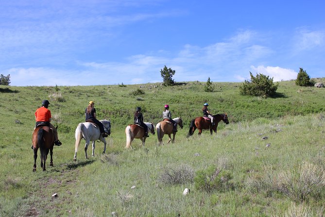 Blue Flower Trail Ride - Is $135 a fair price?