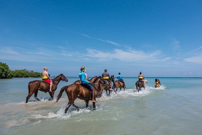 Blue Hole Falls with Horseback Ride Adventure from Montego Bay - Blue Hole safety and horseback comfort
