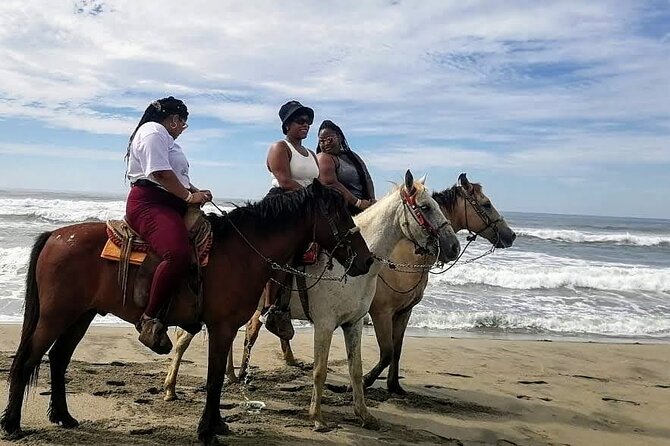 Boat Ride-Gentle Beach Beach Horseback Ride+Lunch-Crocs-Turtles - What the $124.25 price covers