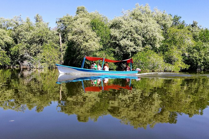 Boat Ride-Gentle Beach Beach Horseback Ride+Lunch-Crocs-Turtles - Pickup for hotels and cruise passengers