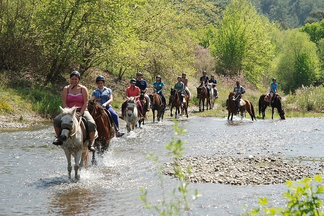 Bodrum Horse Riding Experience w/ Hotel Transfer Service - Meeting the horses and learning the basics