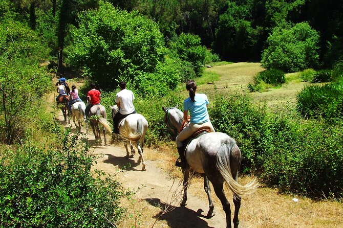 Bodrum Horse Riding Experience w/ Hotel Transfer Service - Pine forests, orange groves, and rural tracks
