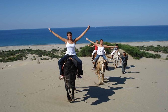 Bodrum Horseback Riding Experience with Hotel Transfer - Meeting the horses and getting ready