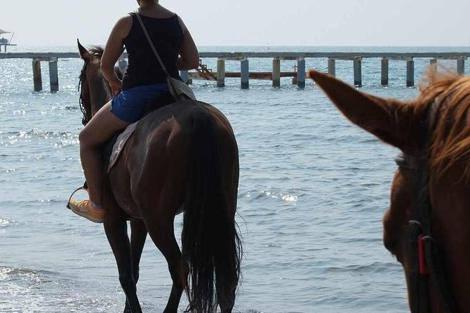 Bodrum Horseback Riding Experience with Hotel Transfer - Reaching the beach or water inlet