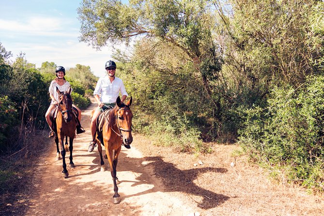 Bodrum Horseback Riding Experience with Hotel Transfer - Is $78.44 a fair price?