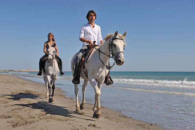 Bodrum: Horseback Riding Experience with Hotel Transfer - Meeting the horses and learning the basics