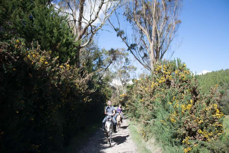 Bogota: Horseback Riding Tour - The 3,200-meter lookout above the Bogotá savanna