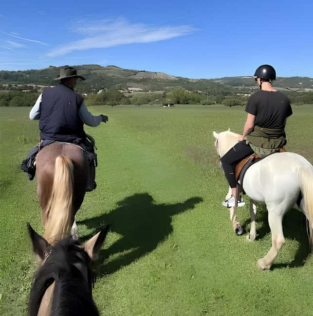 Bologna: Horseback Ride in the Bolognese Hills - Horses, instruction, and comfort