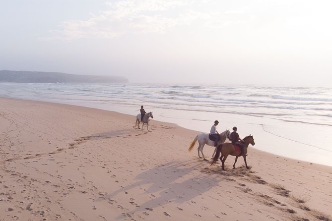 Bordeira Beach - Horse Riding Tour at Sunset - From Carrapateira’s pine trees to the first coastal views