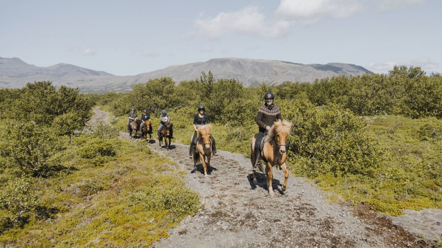 Borgarnes: Horseback Riding Tour with Prep Lesson - The 1.5-hour route through the countryside
