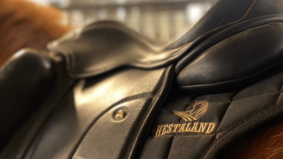 Borgarnes: Horseback Riding Tour with Prep Lesson - Meeting your horse and learning inside